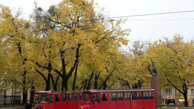 20141116_133326.jpg