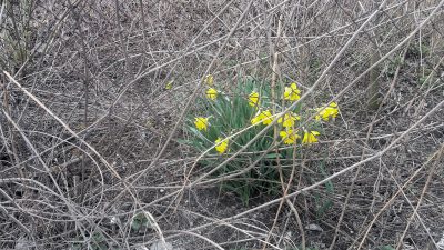 2016-03-24-22.56.50.jpg