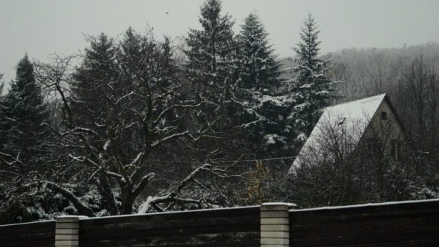 Bratislavská-sedma-48.-Ako-na-Orave.-Foto-Hana-Fábry.JPG