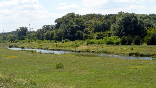DSC_3245.jpg