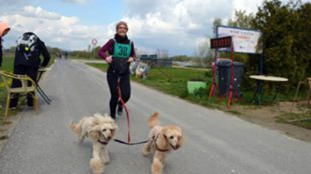 Gaia-Run-2015.jpg