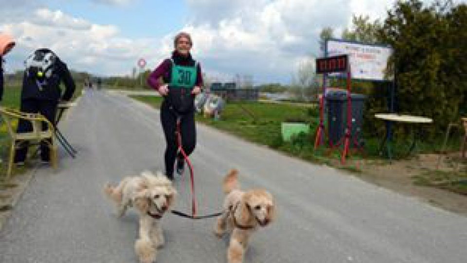 Gaia-Run-2015.jpg