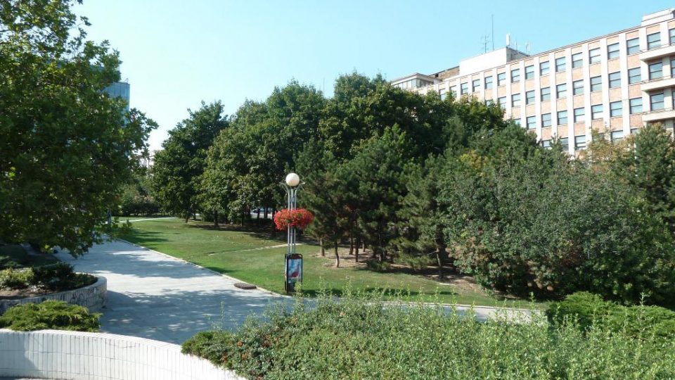 Kollarko-stromy.jpg