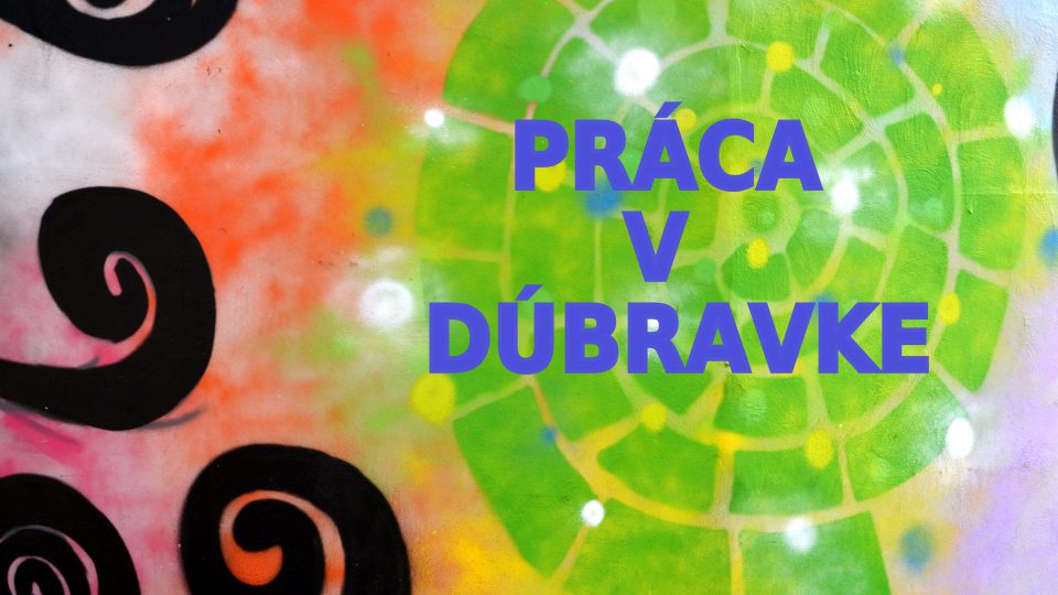 Praca-v-Dubravke.jpg