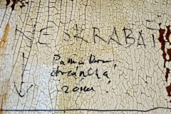 Pamiatkovo chránená loď