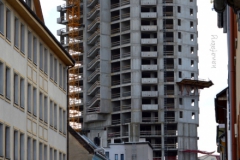 Bratislavská sedma – tridsiata siedma. Šancová ulica. Foto: Hana Fábry 2017