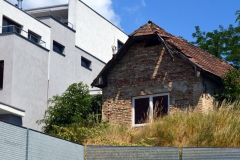 Bratislavská sedma - tridsiata piata. Foto: Hana Fabry