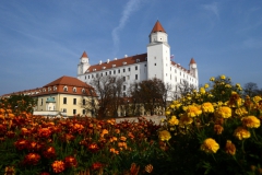 Hrad v kvetoch