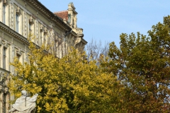 Hviezdko 12