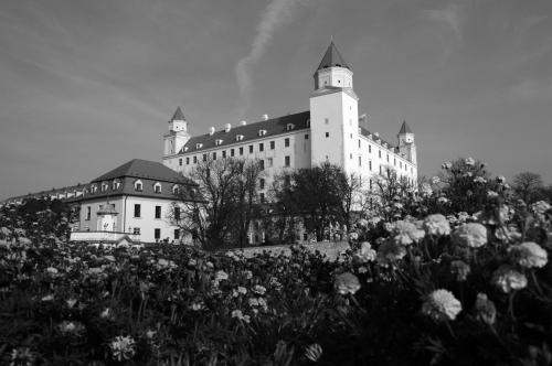 Bratislava v čiernobielom